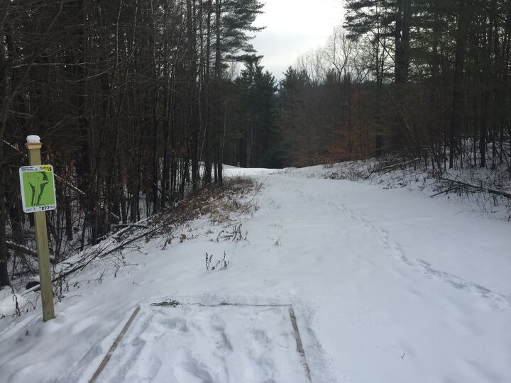 Snow-covered fairway and basket in the winter woods